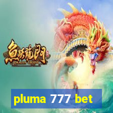 pluma 777 bet